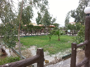 حديقة
