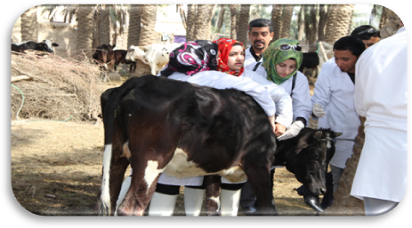 حملة73