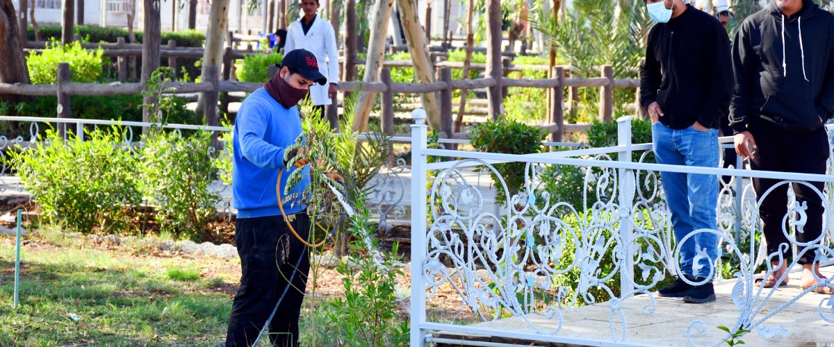 DSC 5343 1200x500