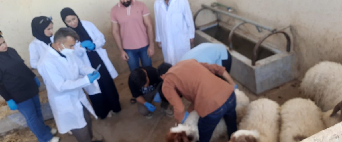 صورة فايبر 2024 08 04 13 53 12 741 1200x500