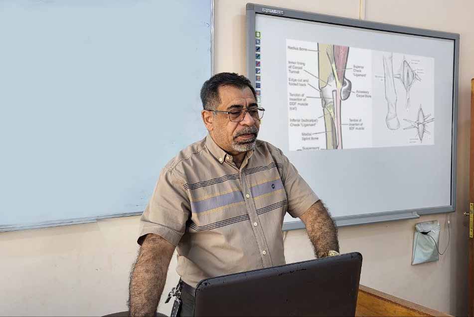 د رافد